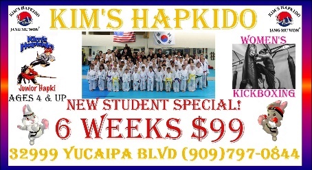 Kim's Hapkido